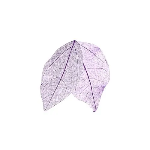 Frunze uscate - violet