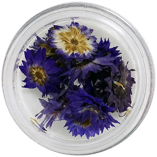 Flori uscate – violet